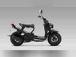 2022 Honda RUCKUS NPS50N