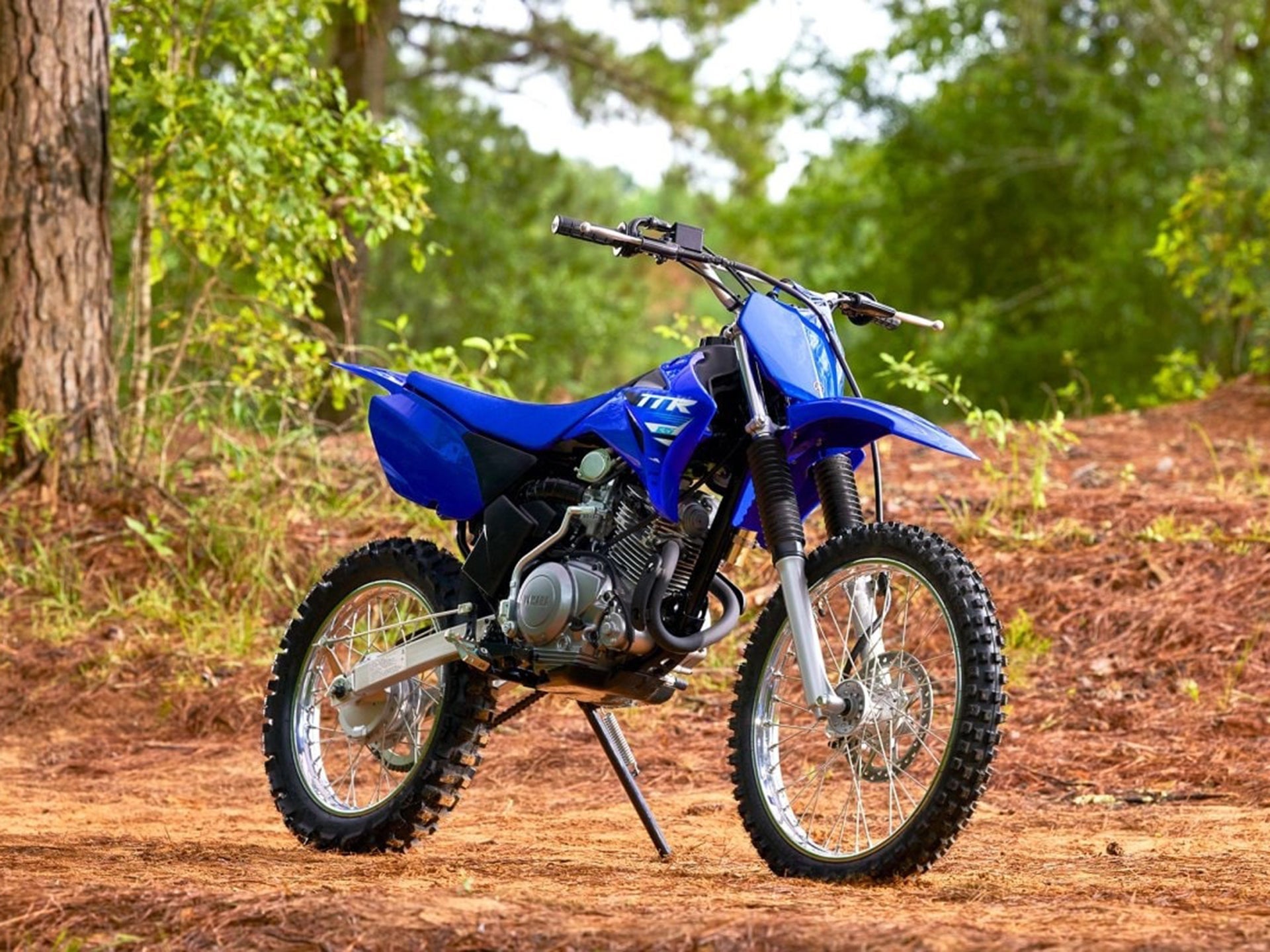 2025 YAMAHA TT-R 110 E TTR110ESC