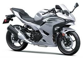 2025 KAWASAKI NINJA 500 ABS EX500GSFNL
