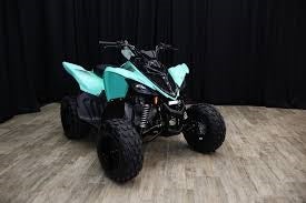 2024 YAMAHA RAPTOR 110 YFM01RYXRL