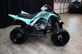 2024 YAMAHA RAPTOR 110 YFM01RYXRL