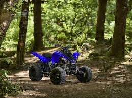2025 YAMAHA Raptor 110 YFM01RYXSL