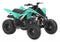 2025 YAMAHA Raptor 110 YFM01RYXSG