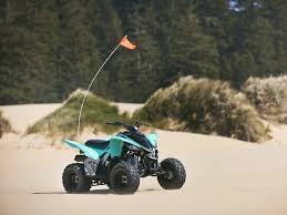 2025 YAMAHA Raptor 110 YFM01RYXSL