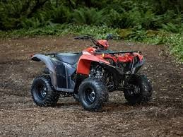 2025 YAMAHA GRIZZLY 110 YFM01GYXSD